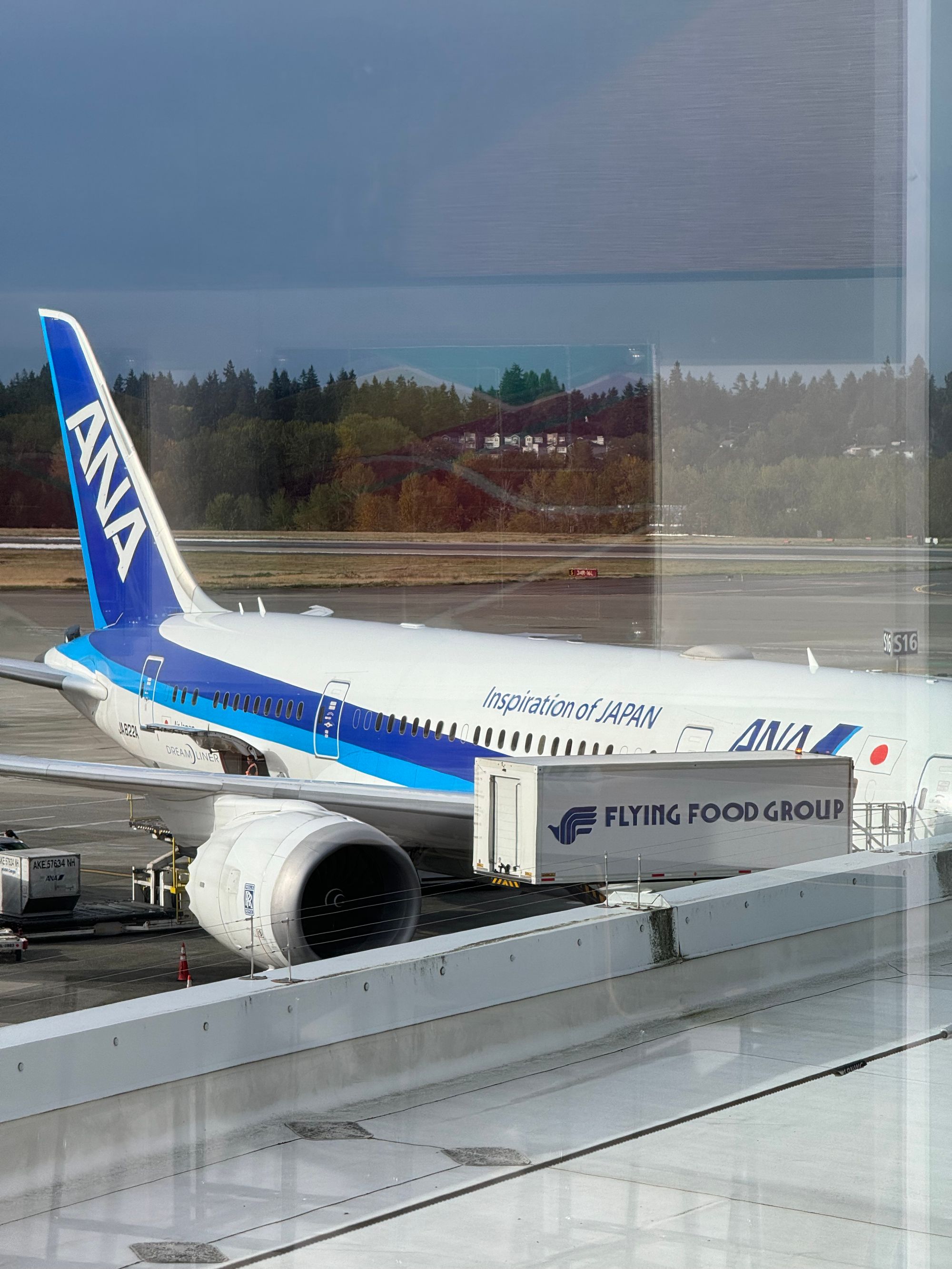ANA Business Class (Old Product)