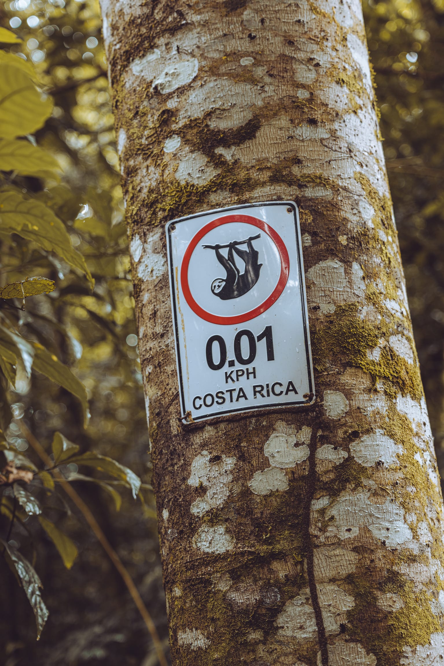 Secrets Papagayo- Don’t stay here too long