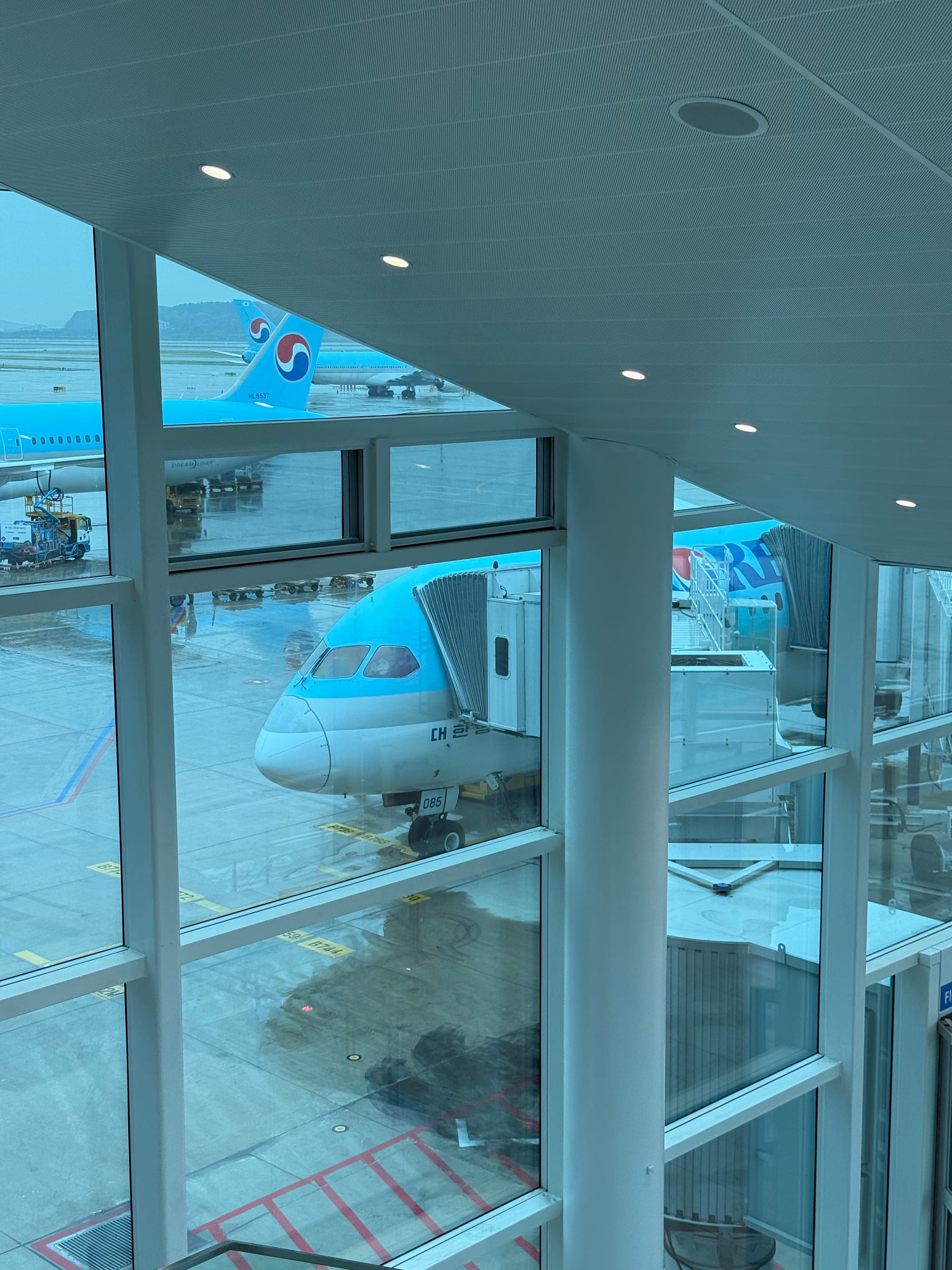 Korean Air Business Class — Seoul Brother!