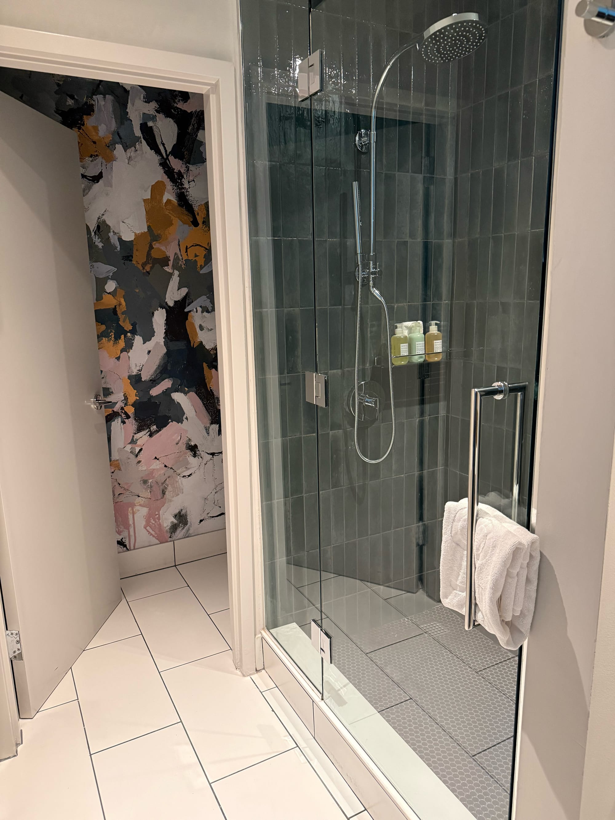 Shower and Toilet